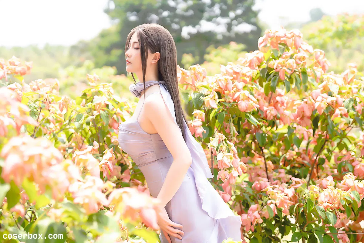 星之迟迟 2024-4-D-1 - 2