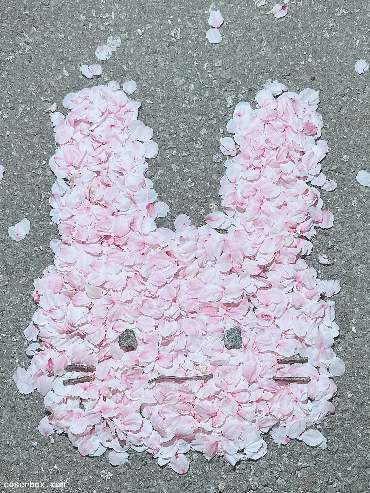 けん研 2024.07.22 Fantia 2000日圓訂閱內容 1 - 2