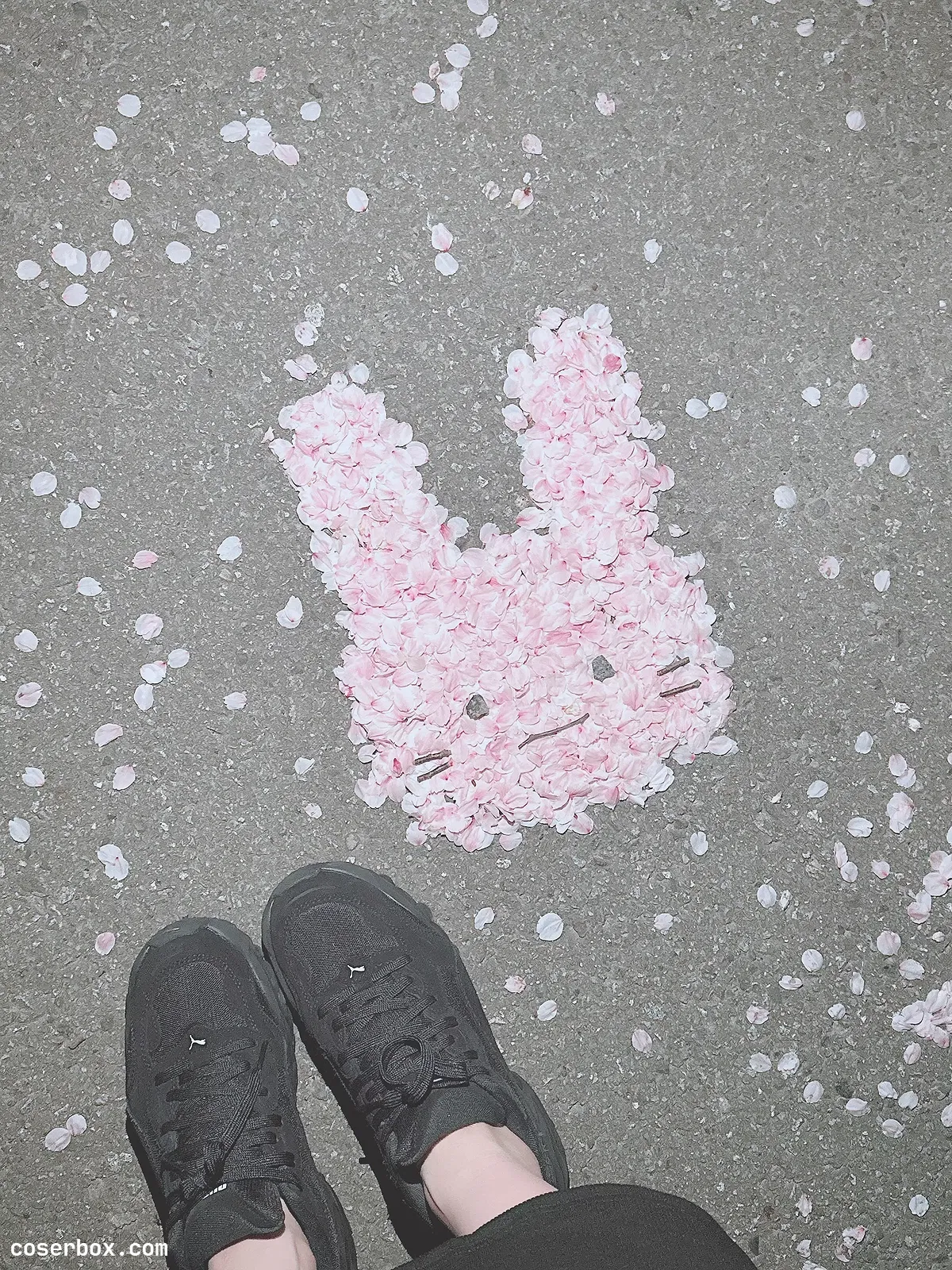 けん研 2024.07.22 Fantia 2000日圓訂閱內容 1 - 1