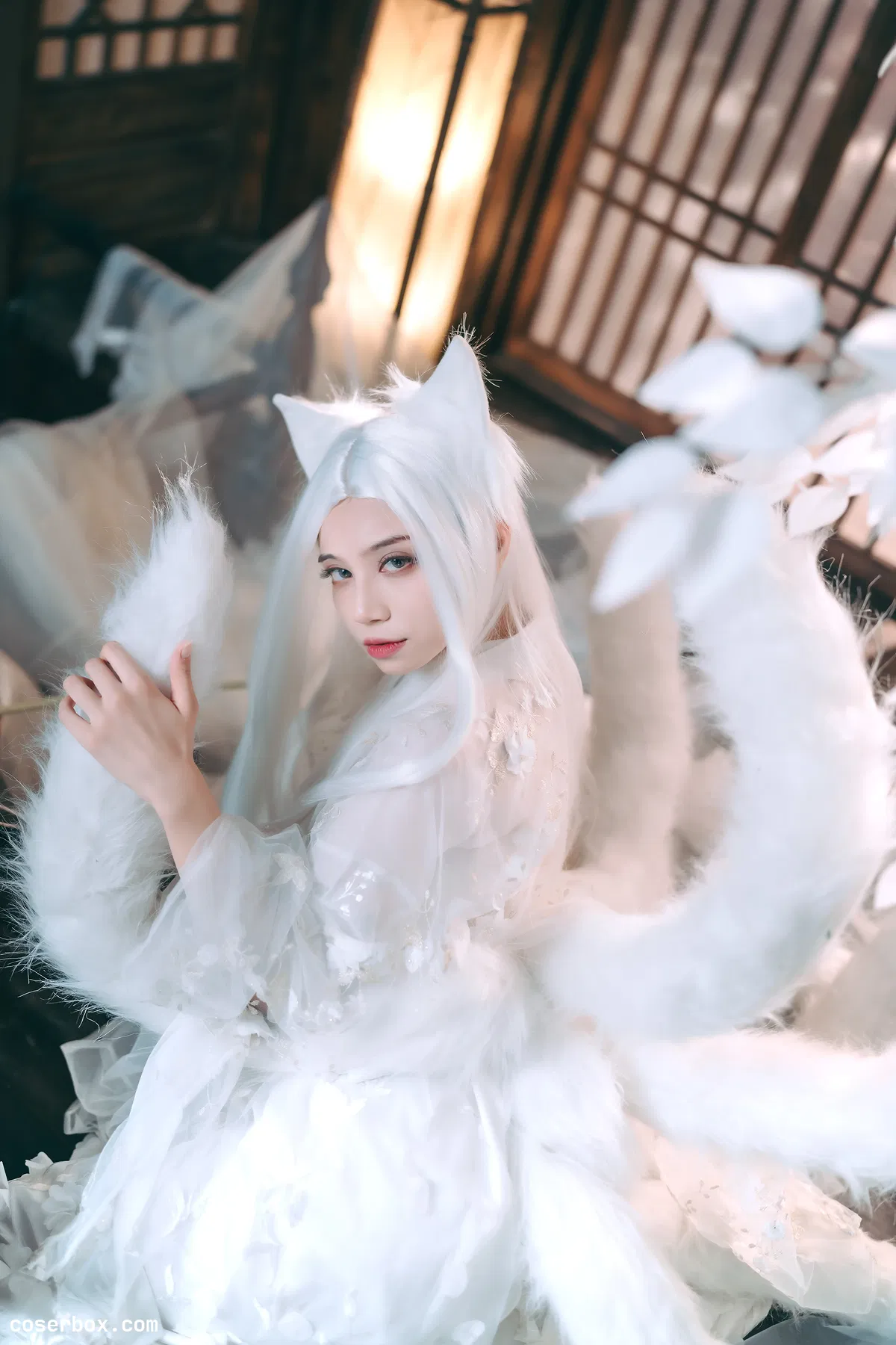 贰加六 2024.07.27 千雪九尾 - 2