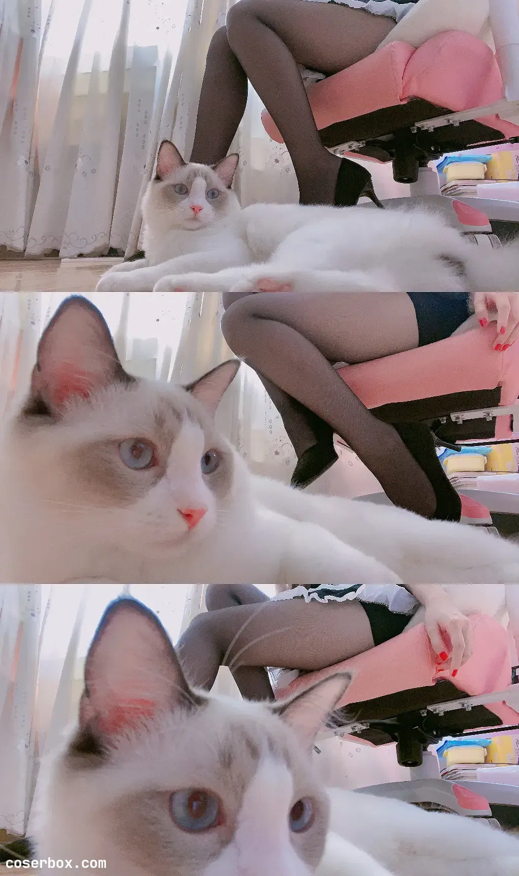 miko酱ww 2024.07.23 自拍系列 透明女仆 - 1