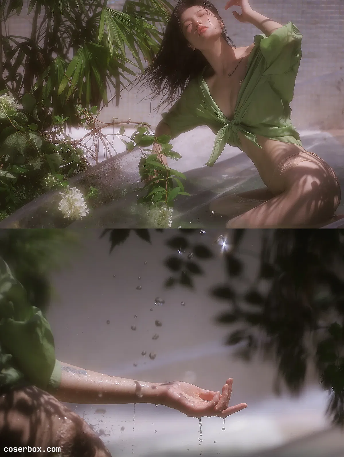 桃良阿宅 2024.08.21 绿意 - 2