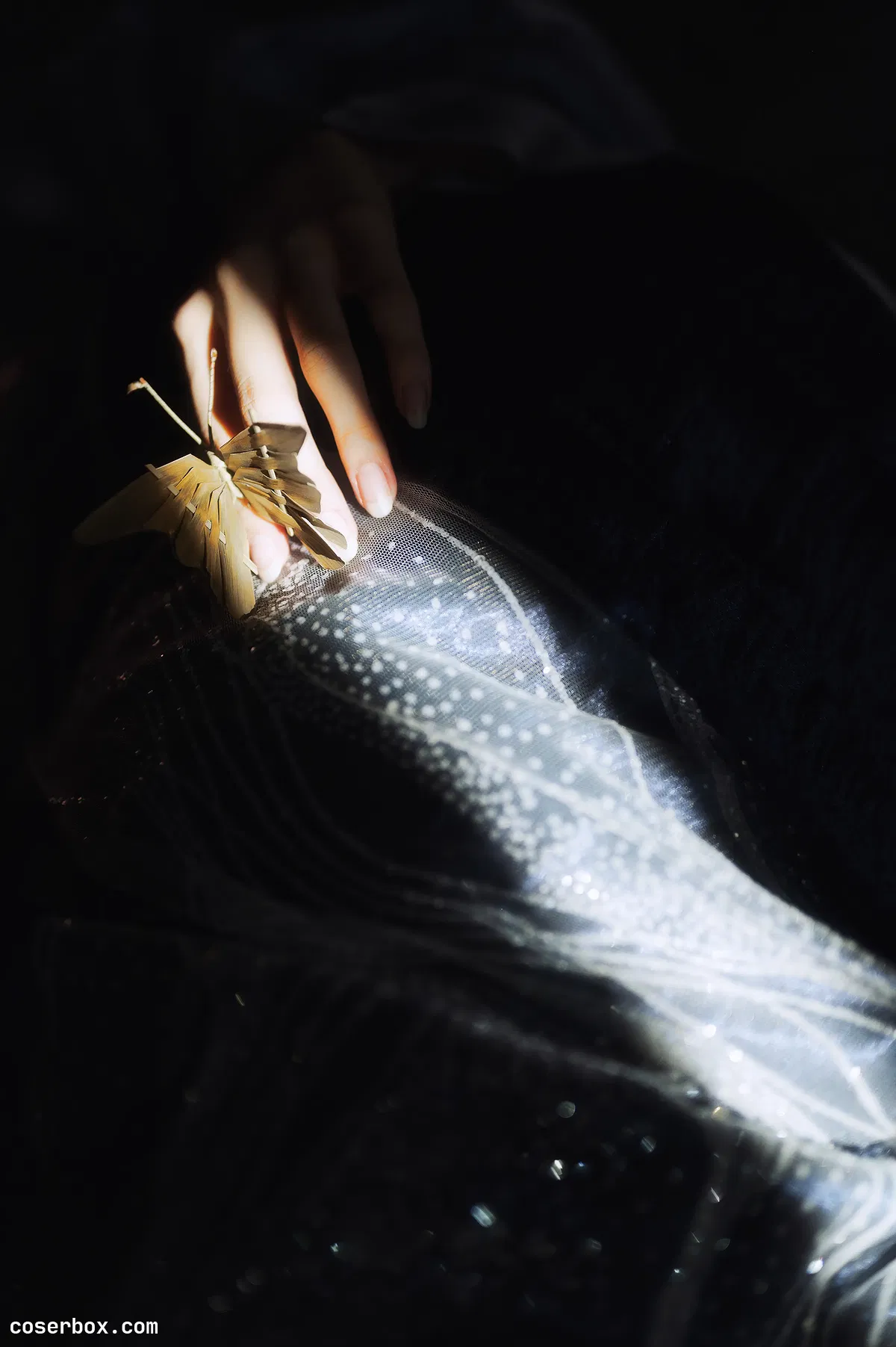 贰加六 2024.08.14 枯 - 2