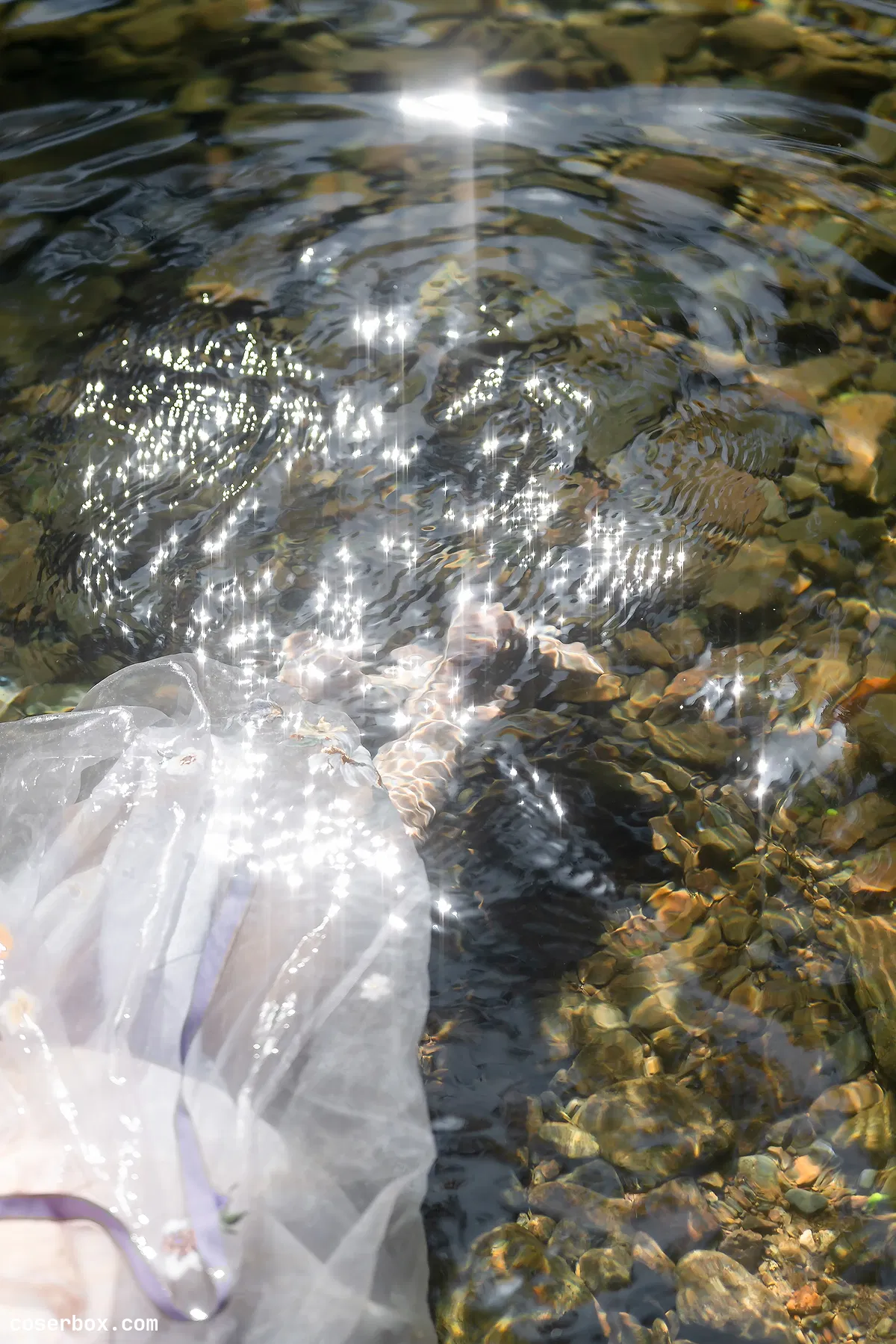 贰加六 2024.08.12 泛舟记 - 2