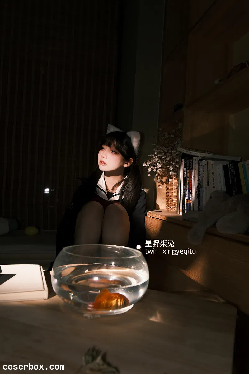 星野柒兔 2024.08.23 放课后的吔鱼少女