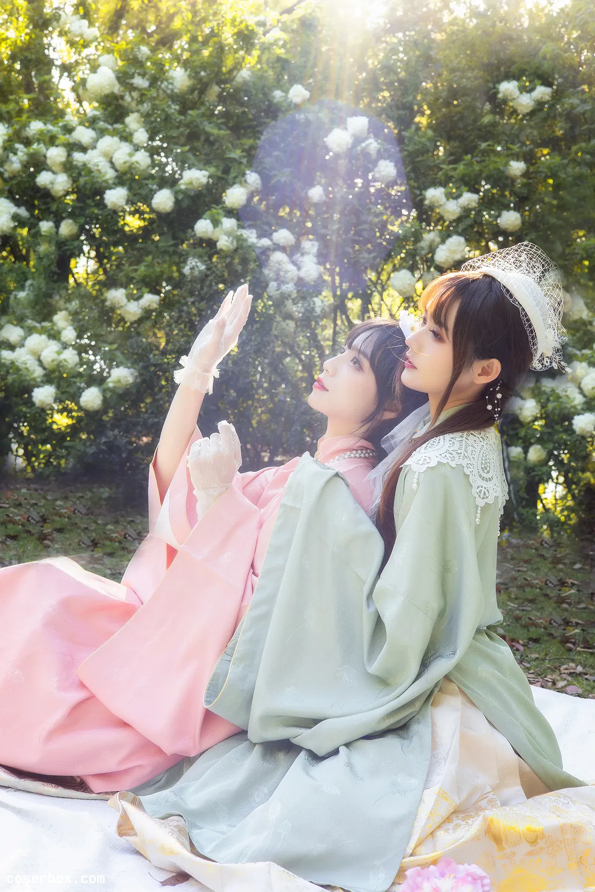 贰加六 2024.09.05 &兔子Zzz不吃胡萝卜踏春 - 2