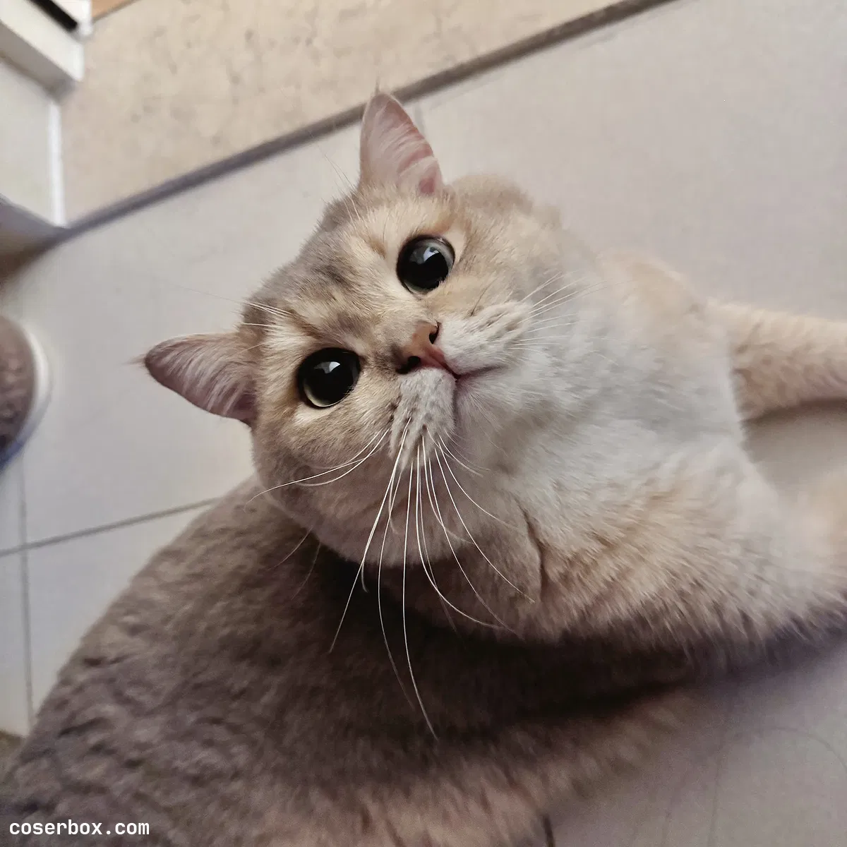 眼酱大魔王w 2024.09.20 24年04月Fantia会员订阅 - 2