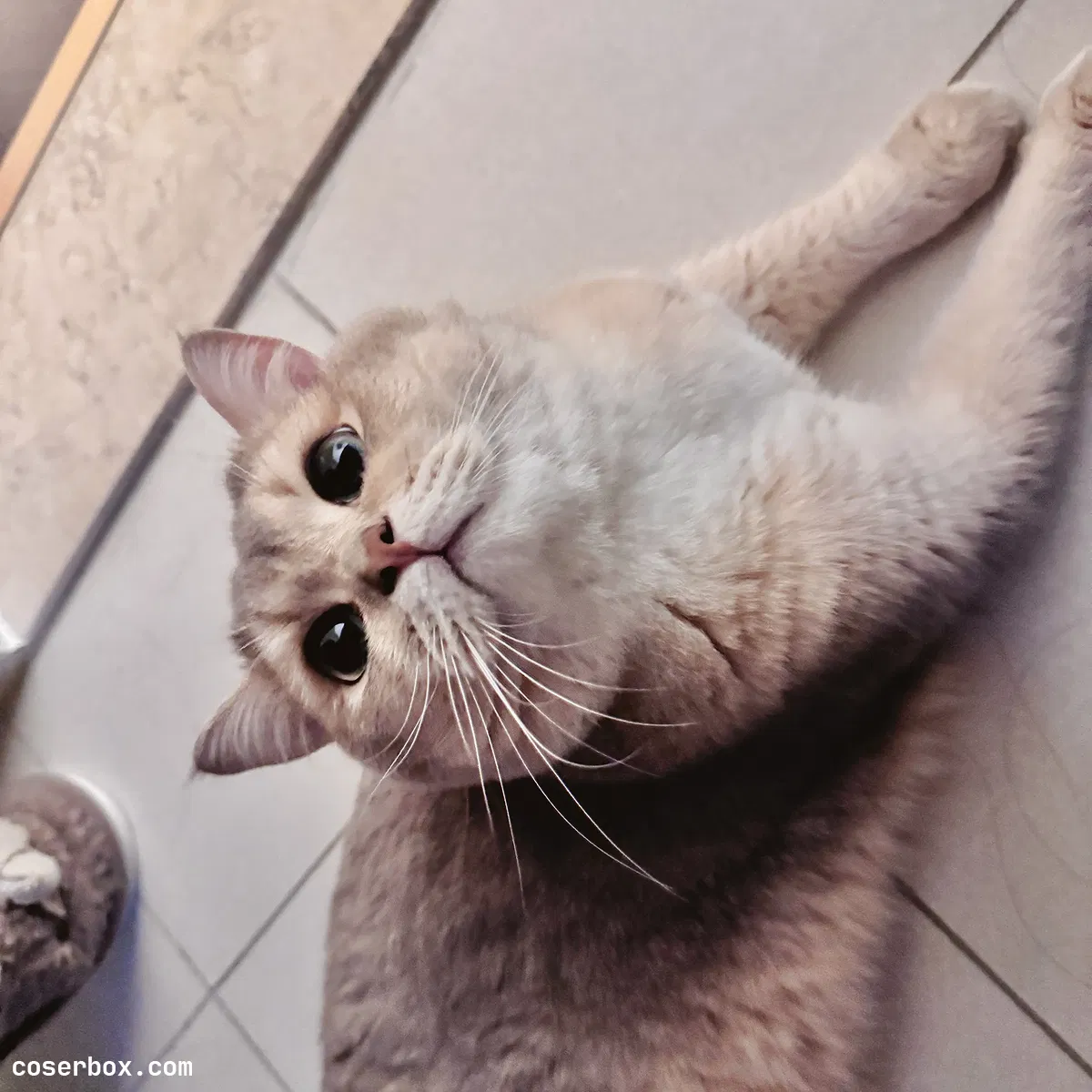 眼酱大魔王w 2024.09.20 24年04月Fantia会员订阅 - 1