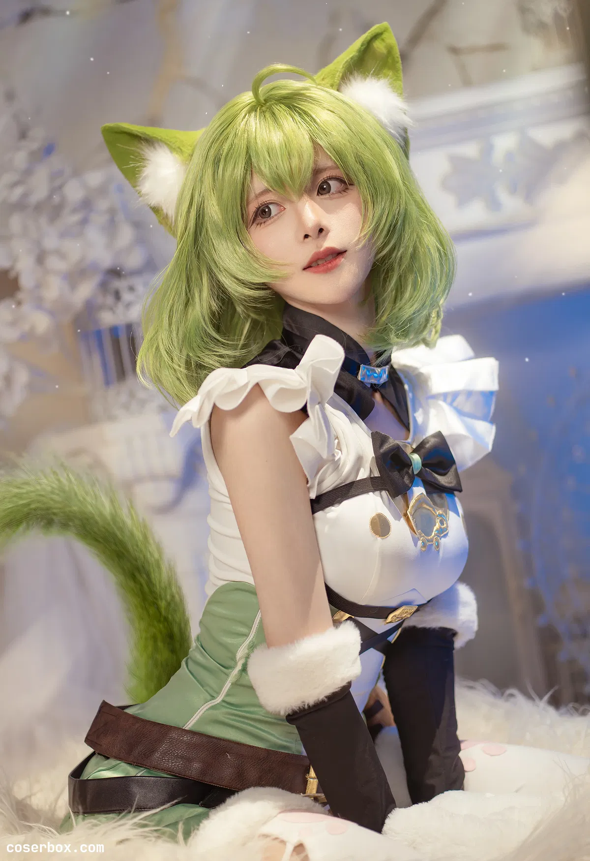 腥味猫罐 2024.10.26 艾咪 - 1