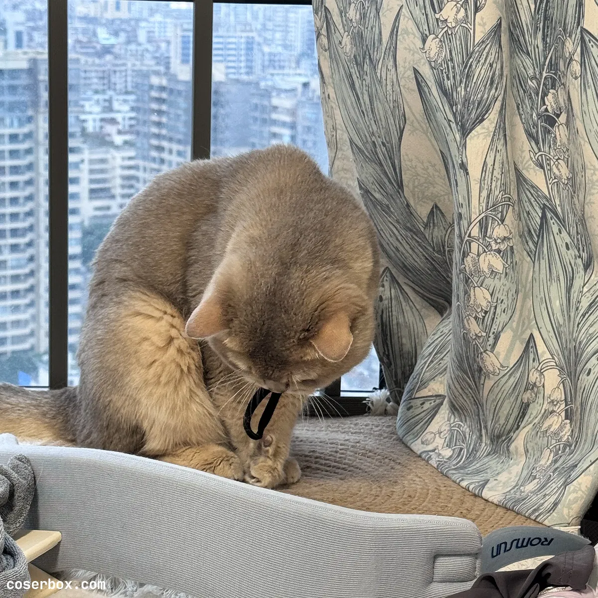 眼酱大魔王w 2024.11.01 Fantia 24年6月合集 - 1