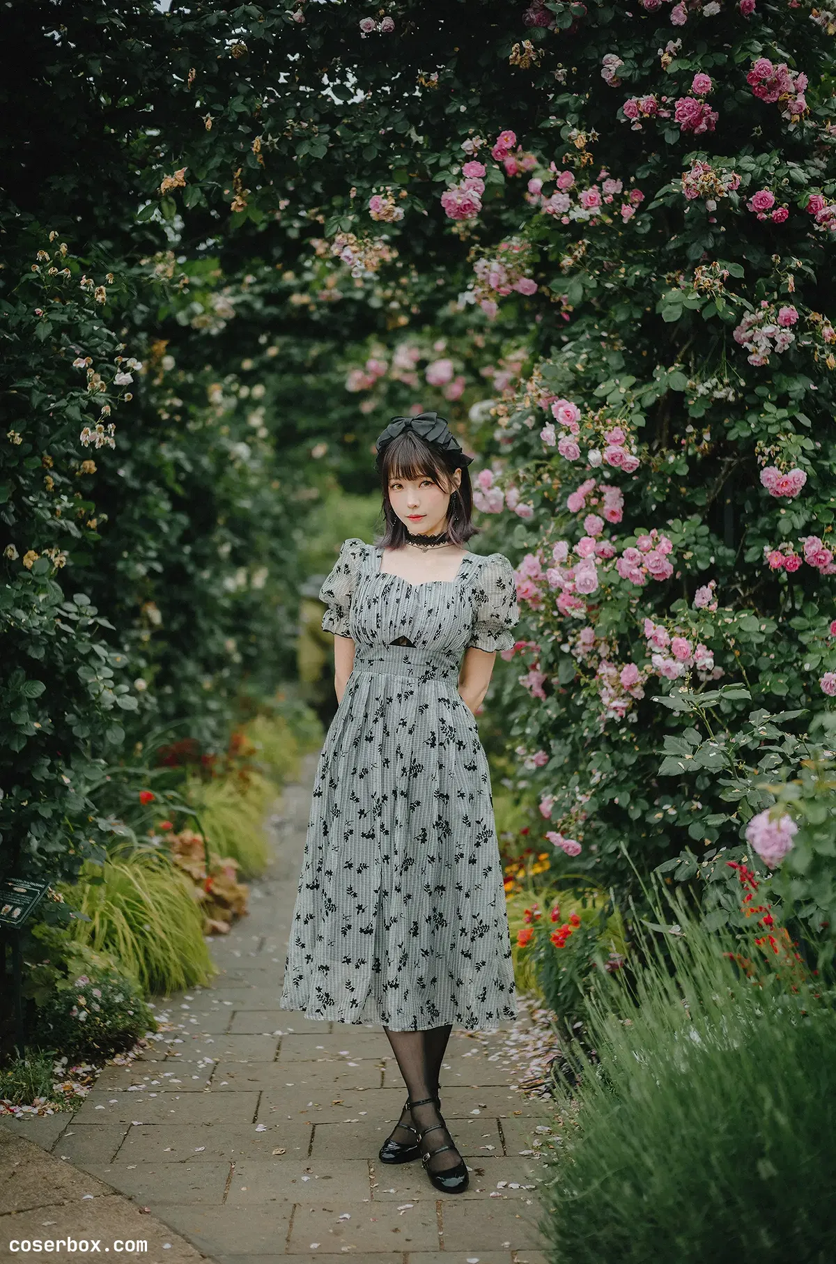 ElyEE子 2024.11.01 Aug-Tier 3 A.Roses After the_Rain雨後玫瑰 - 2