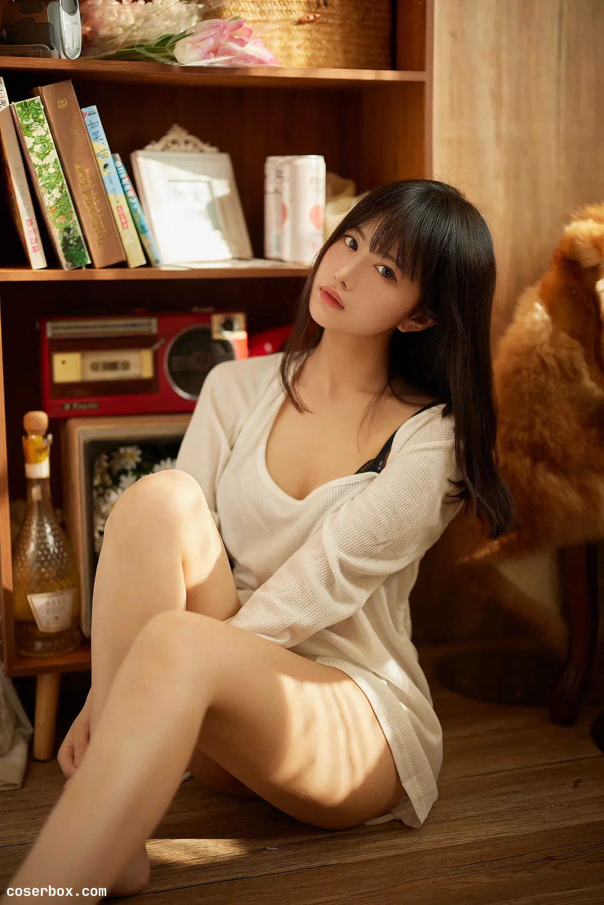 Shika小鹿鹿 2024.11.23 鹳鸟踟蹰 - 1