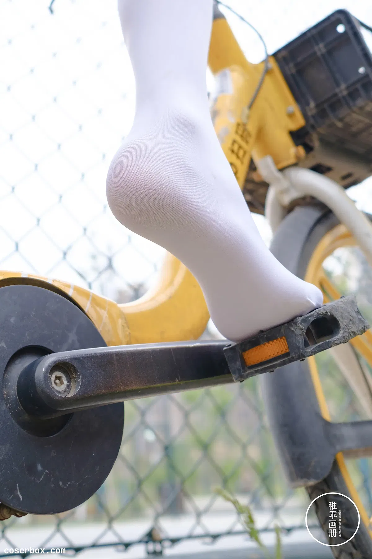 赤西夜夜2024.11.29 稚乖画册 单车郊游 - 1