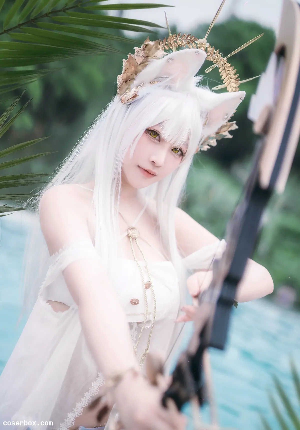 Halo_酱 2024.12.04 明日方舟白金 - 2