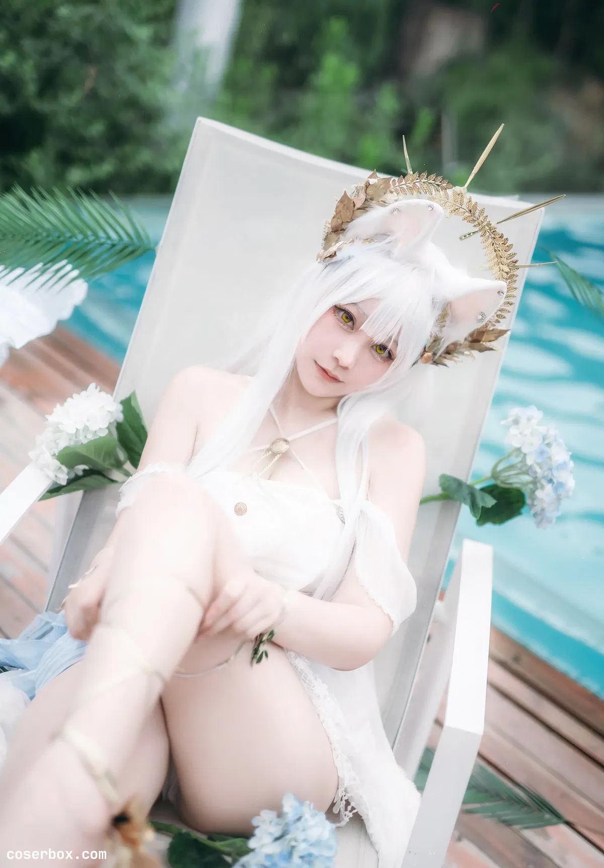 Halo_酱 2024.12.04 明日方舟白金 - 1