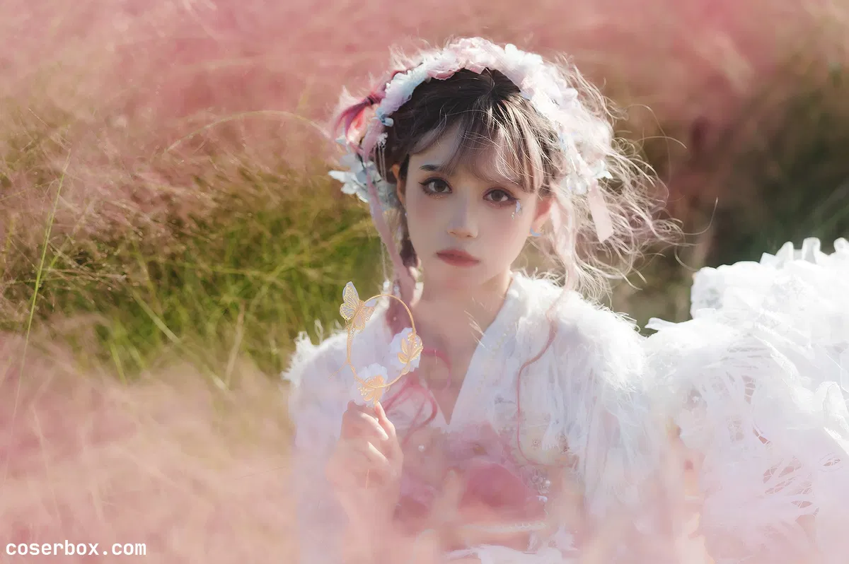 贰加六 2025.01.20 粉色草海 - 1