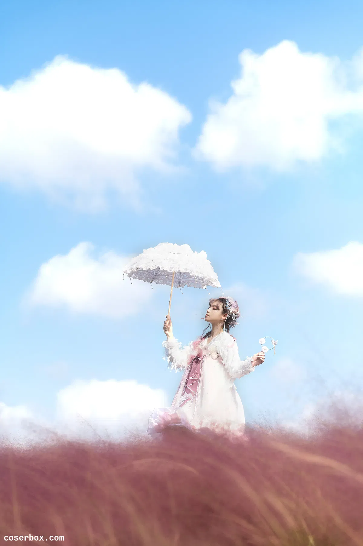 贰加六 2025.01.20 粉色草海 - 2