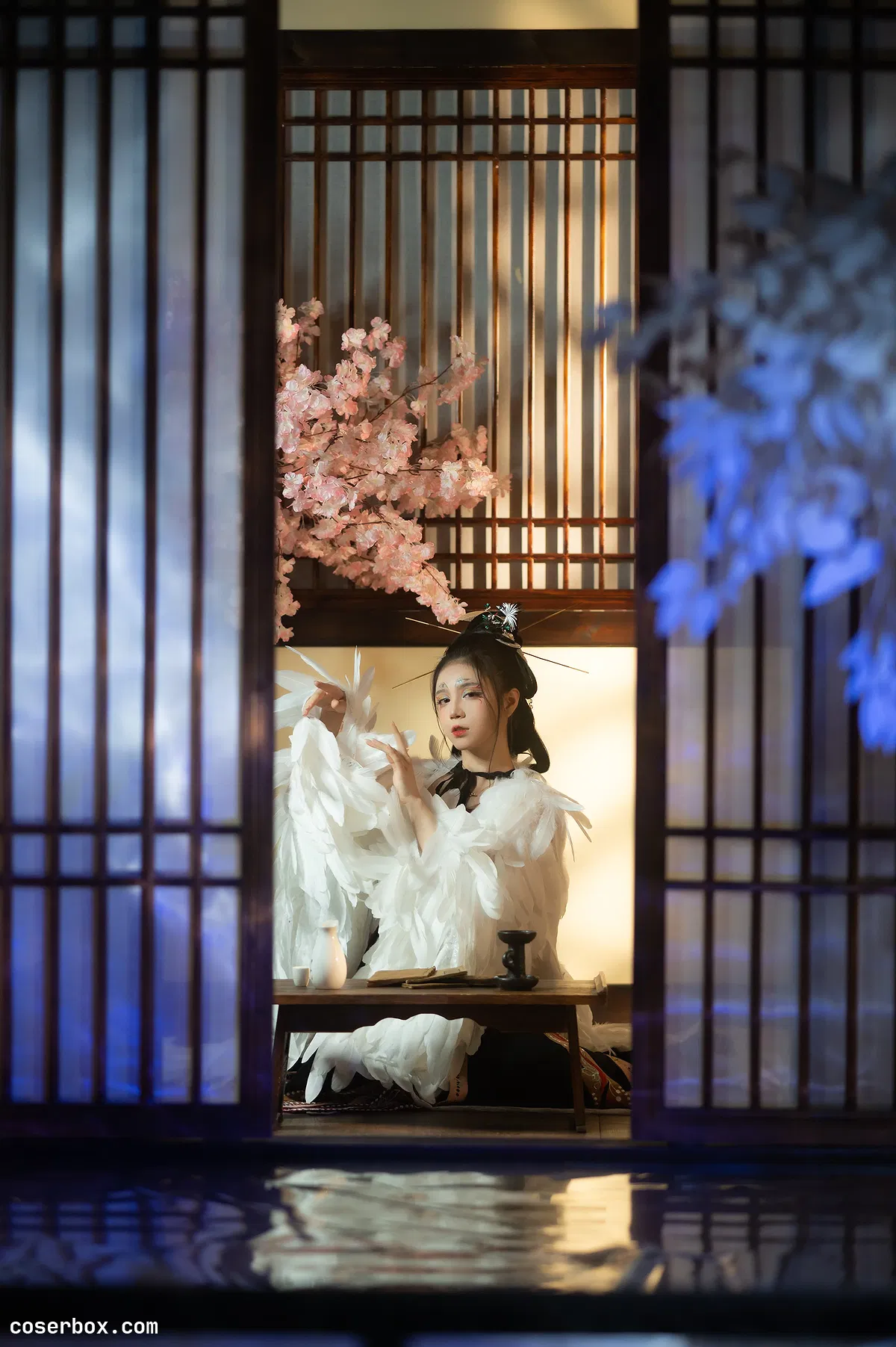 贰加六 2024.12.19 重明鸟 - 1