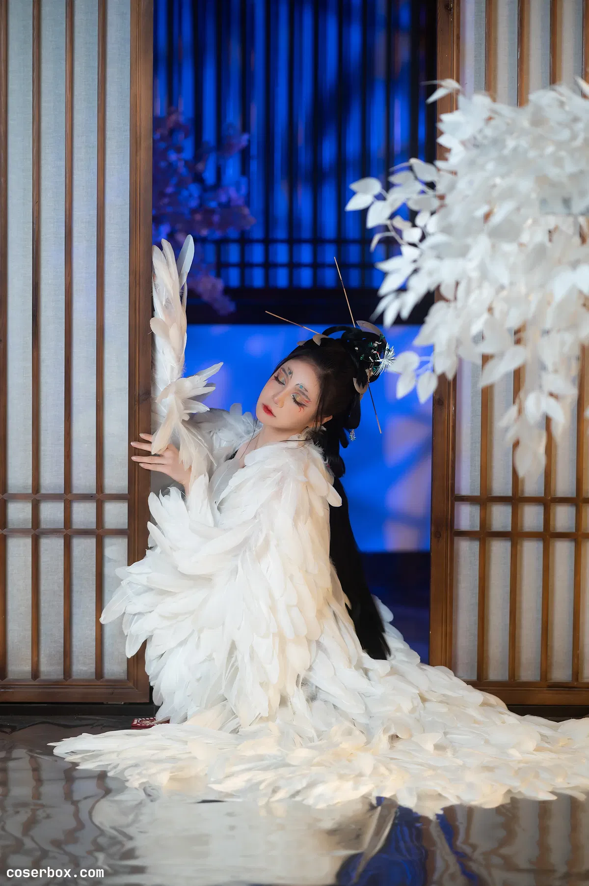 贰加六 2024.12.19 重明鸟 - 2