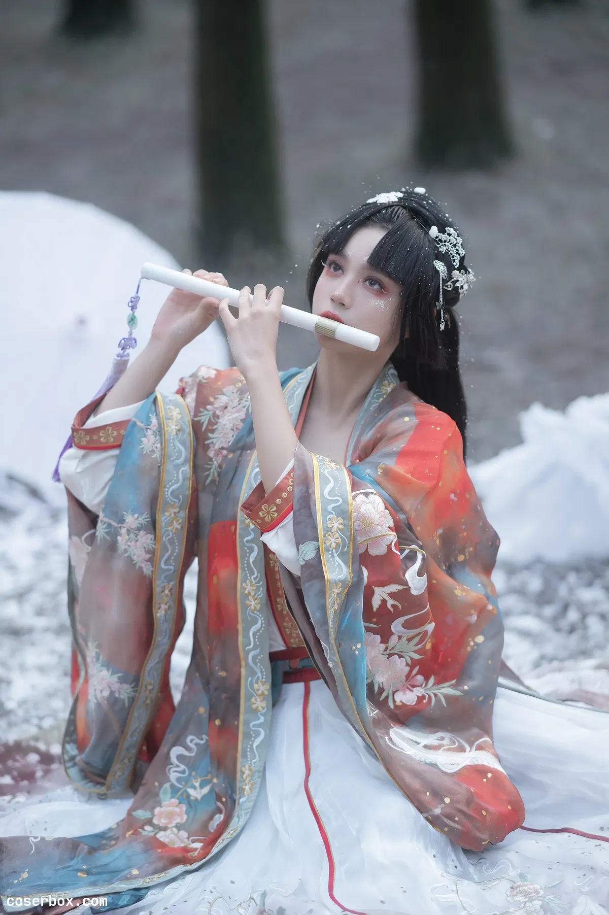 贰加六 2024.12.29 雪国公主 - 2