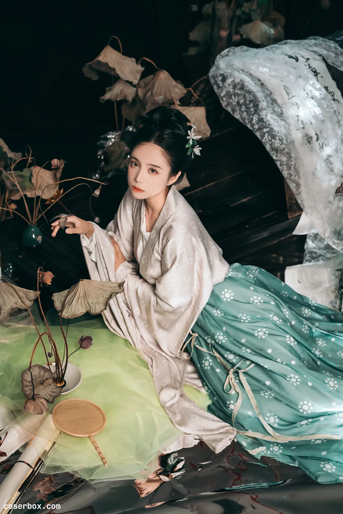 贰加六2024.12.14 行香子 - 1