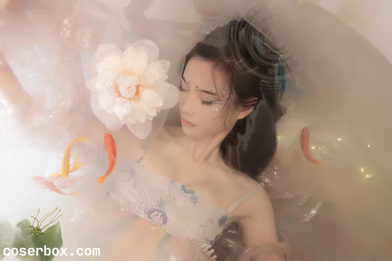 贰加六 2024.12.20 真金鱼姬