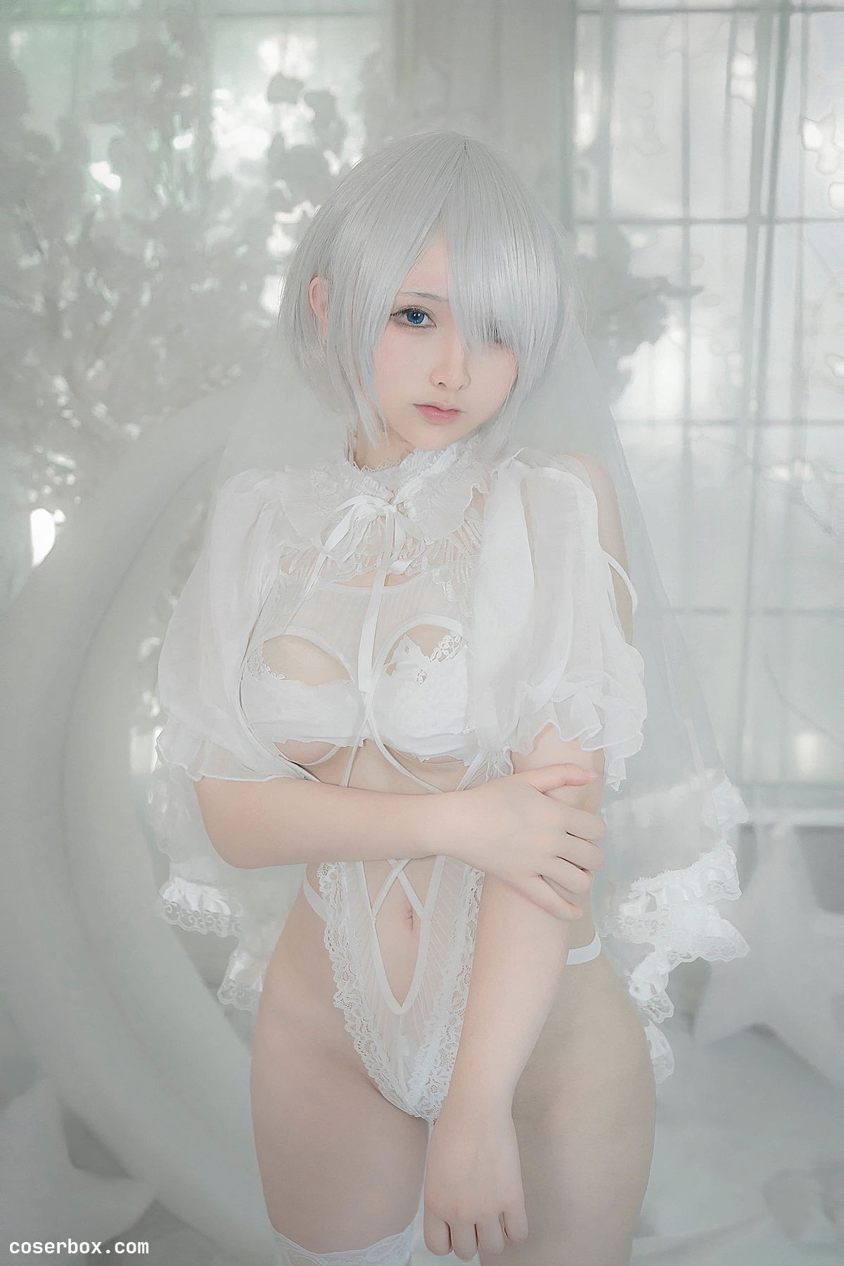 樱梨梨 2025.01.04 2B白花嫁 - 2