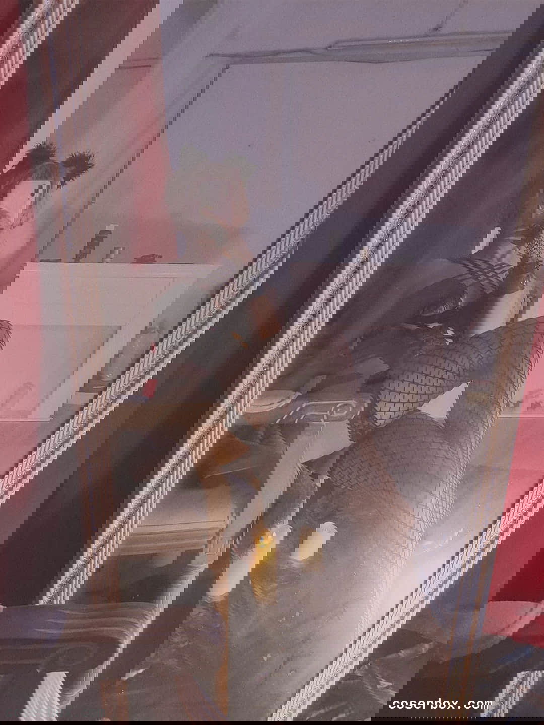 LLS_莉莉丝 2024.12.30 黑凤梨 - 2