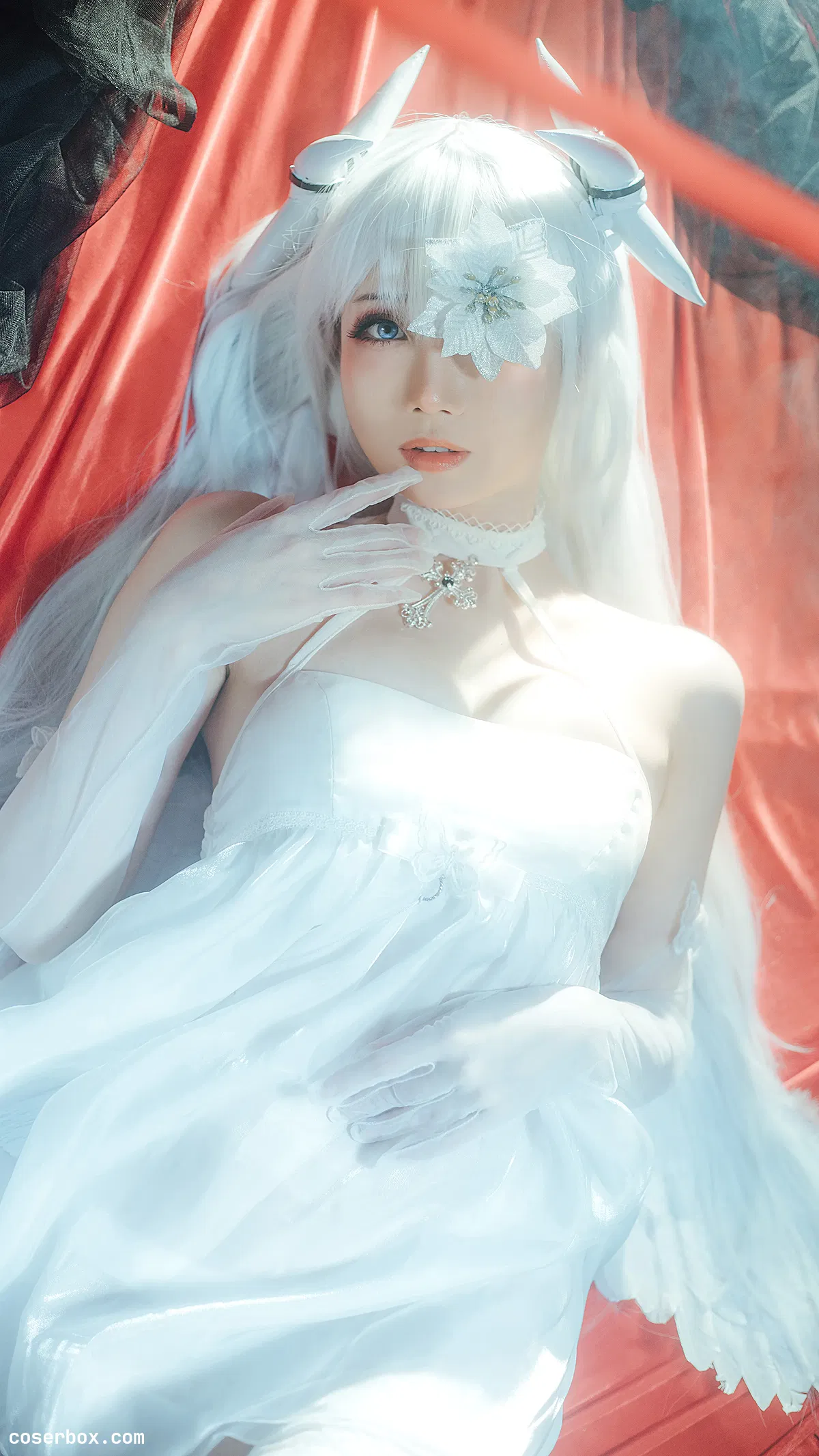 Tomoyo酱 2025.01.18 &焖焖碳-碧蓝航线-埃姆登双黑白夜之主 - 1