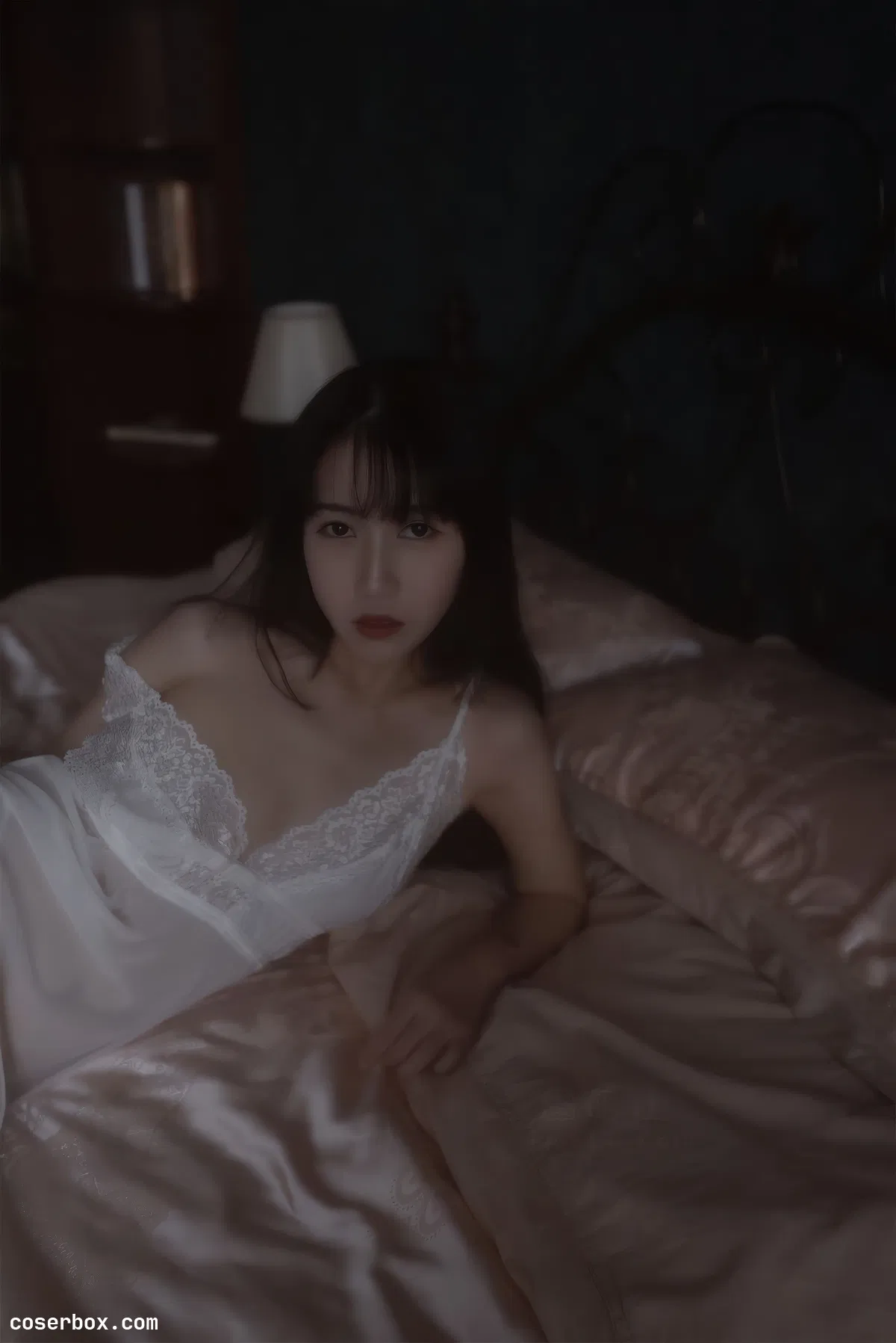 不呆猫 2025.01.24 白月光 - 2