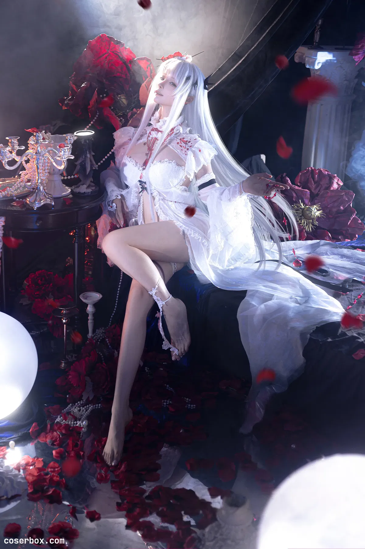 蠢沫沫 2025.01.22 2024年会员 可可莉克 - 2