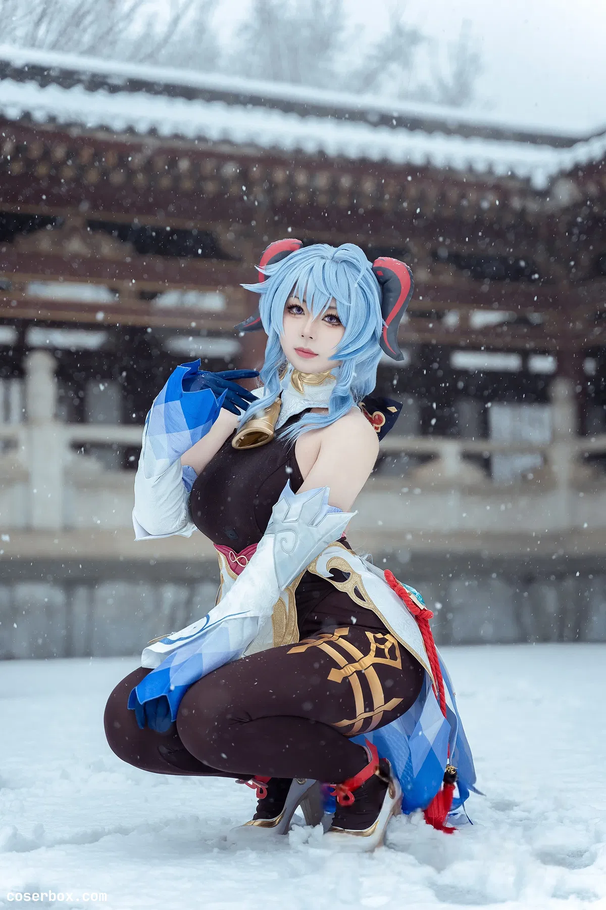 虎森森 2025.01.30 雪景甘雨 - 2