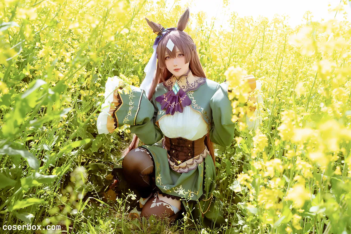 星之迟迟 2025.02.11 2024-7-G - 1