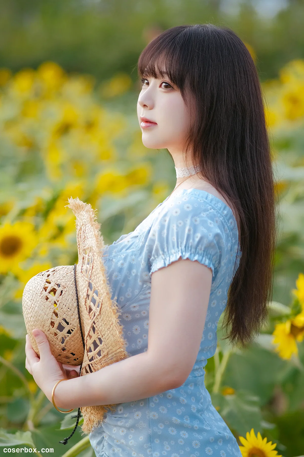 皮皮奶 2025.03.24 彼女向日葵 - 1