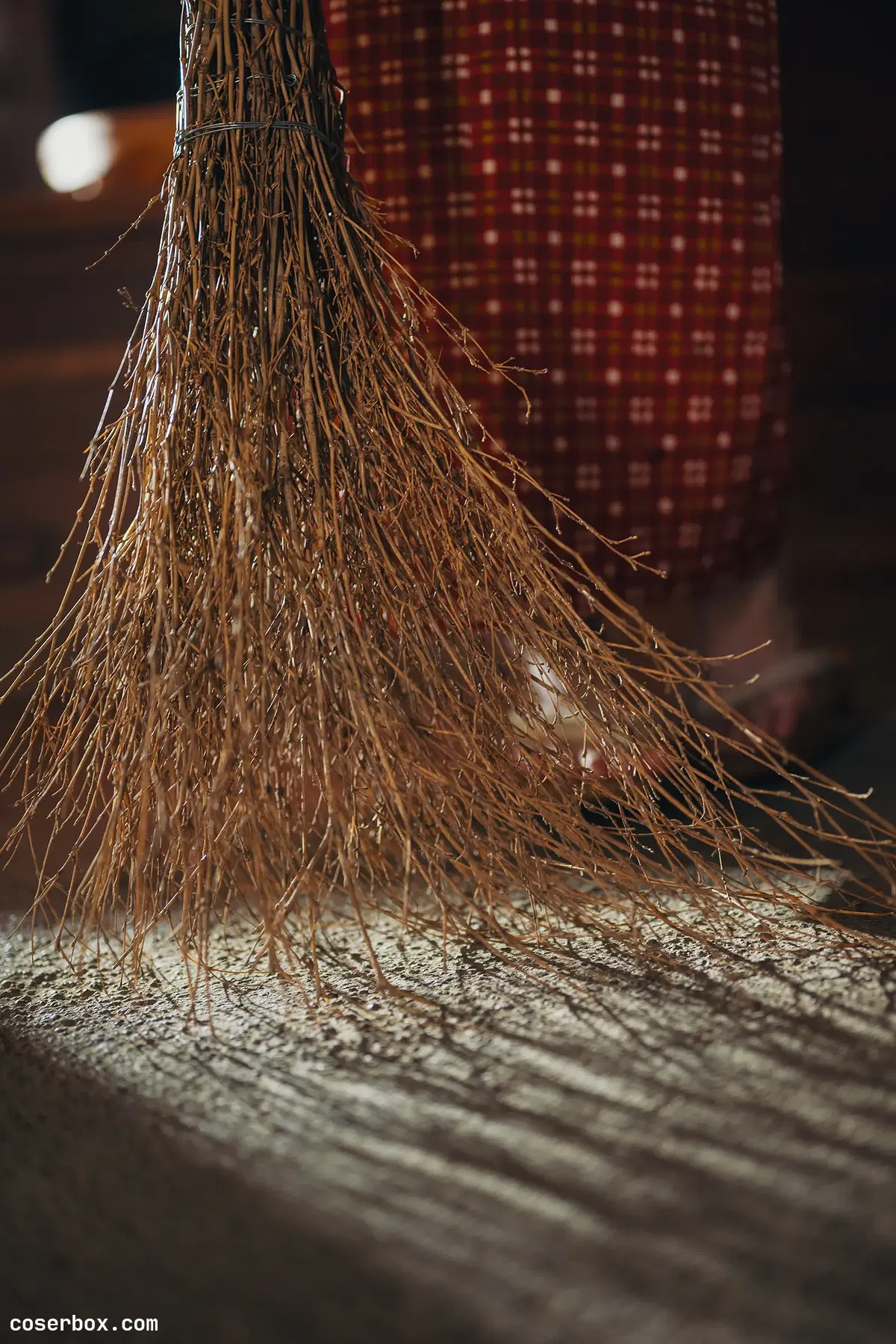 けん研 2025.03.23 くの一忍法お色気の術DL写真集 - 2