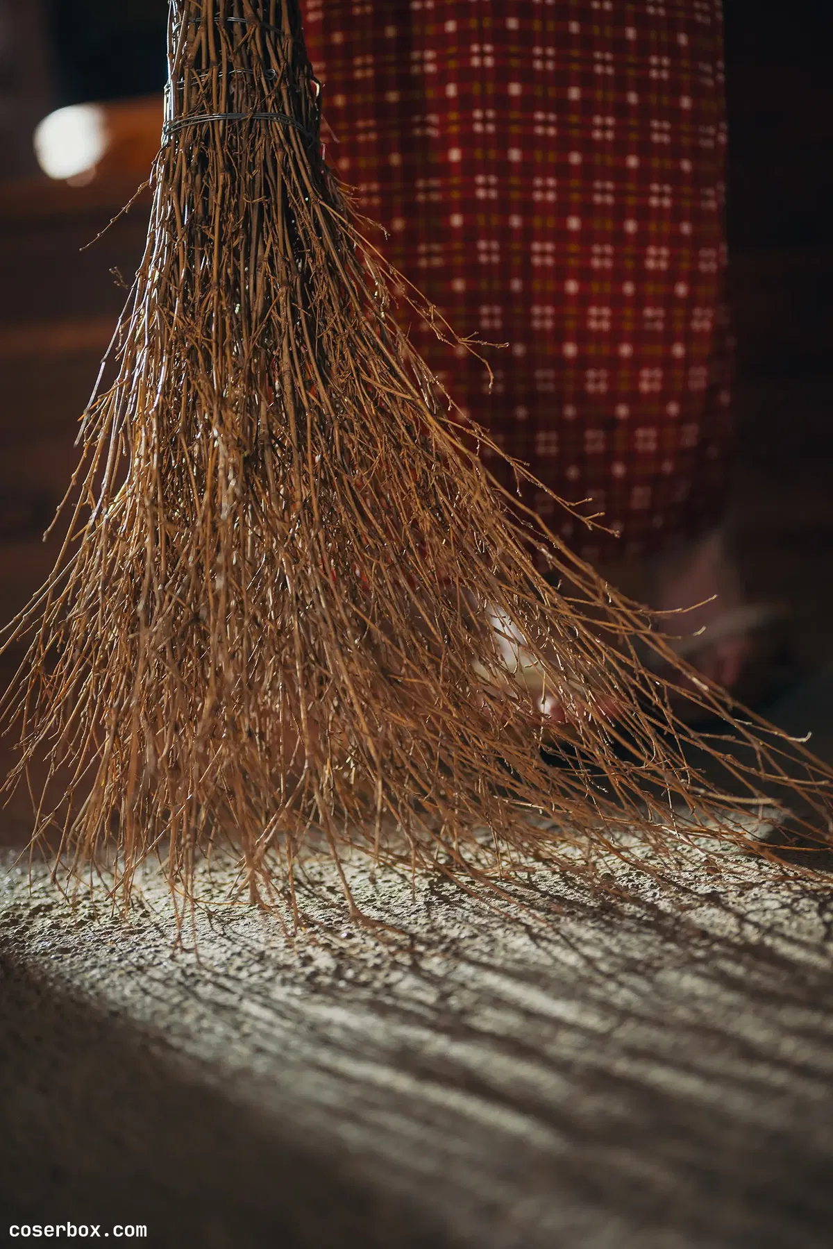 けん研 2025.03.24 くの一忍法お色気の術DL写真集 - 2