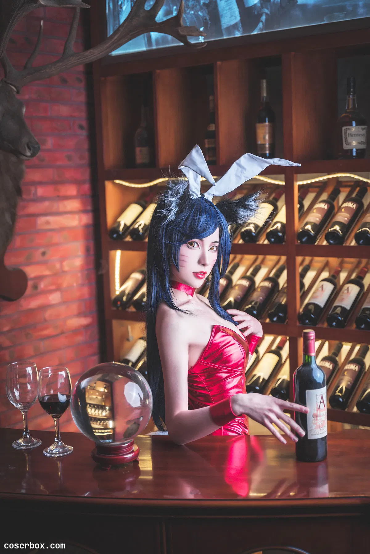 蜀葵喵喵喵 2025.04.14 阿狸兔女郎 - 2