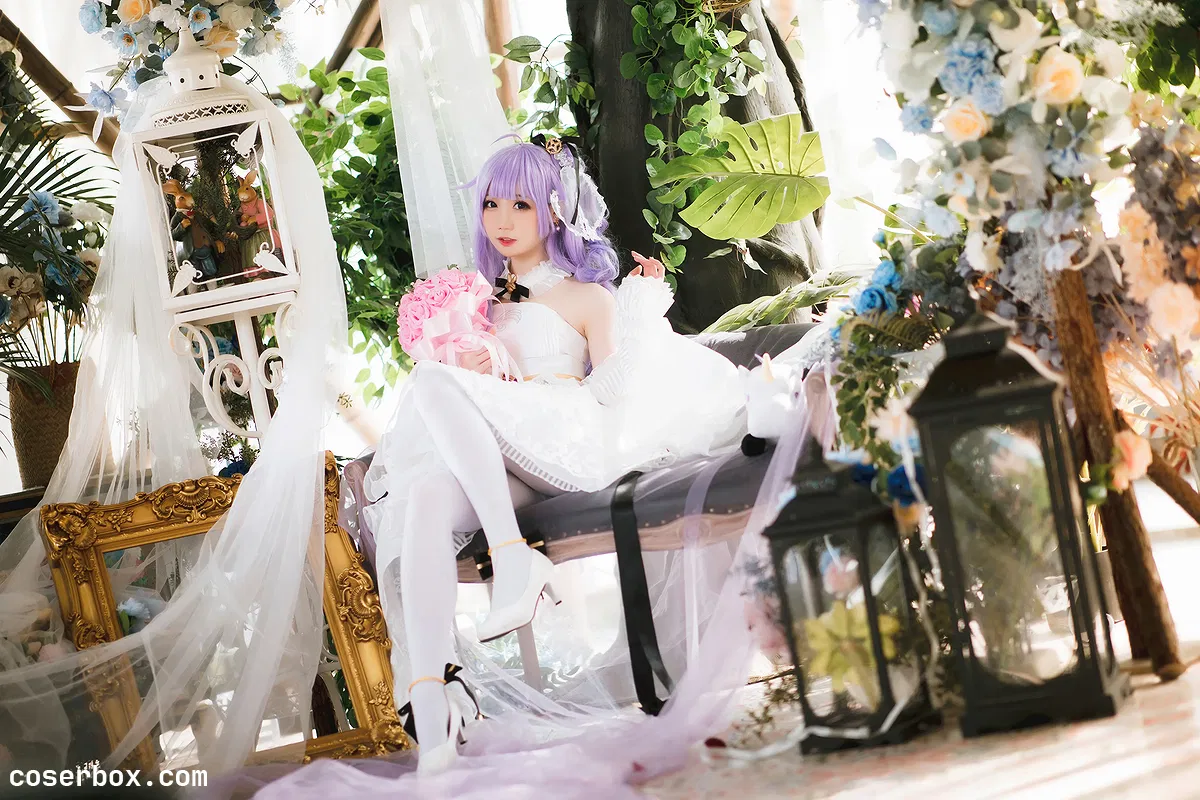 焖焖碳 2025.04.25 婚纱独角兽 - 1