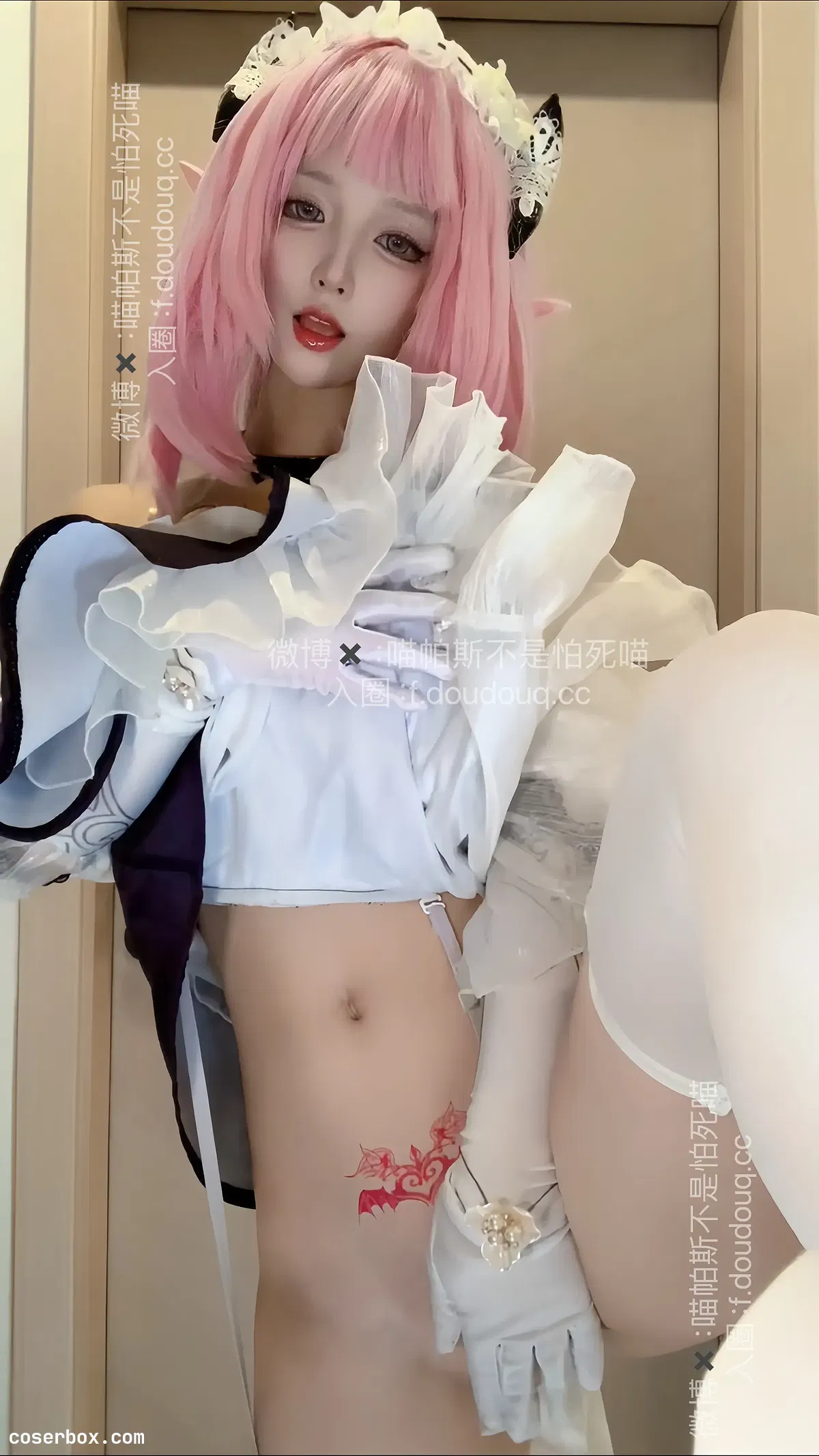 喵帕斯不是怕死喵 2025.04.25 爱莉希雅 - 1