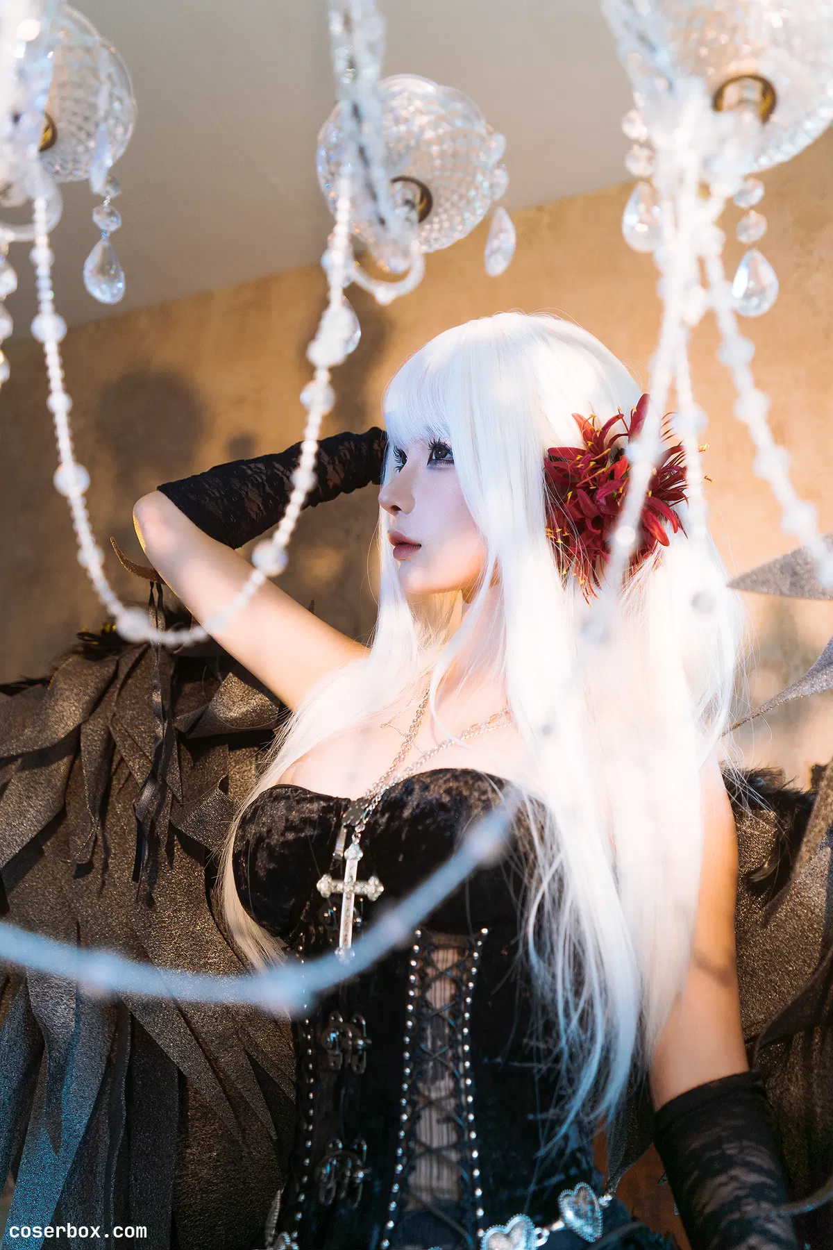 蠢沫沫 2025.05.01 黑天鹅 - 1