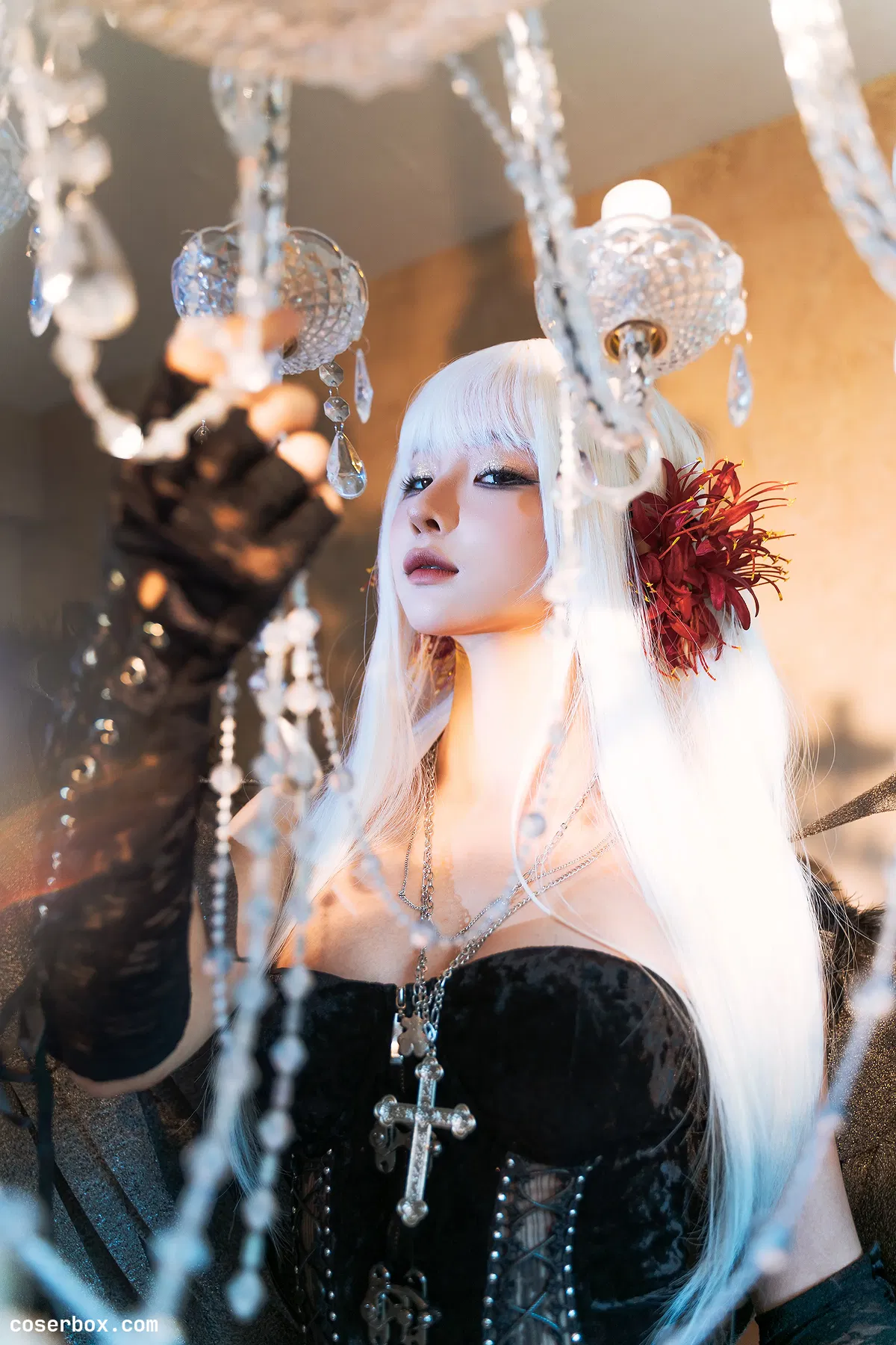 蠢沫沫 2025.05.01 黑天鹅 - 2