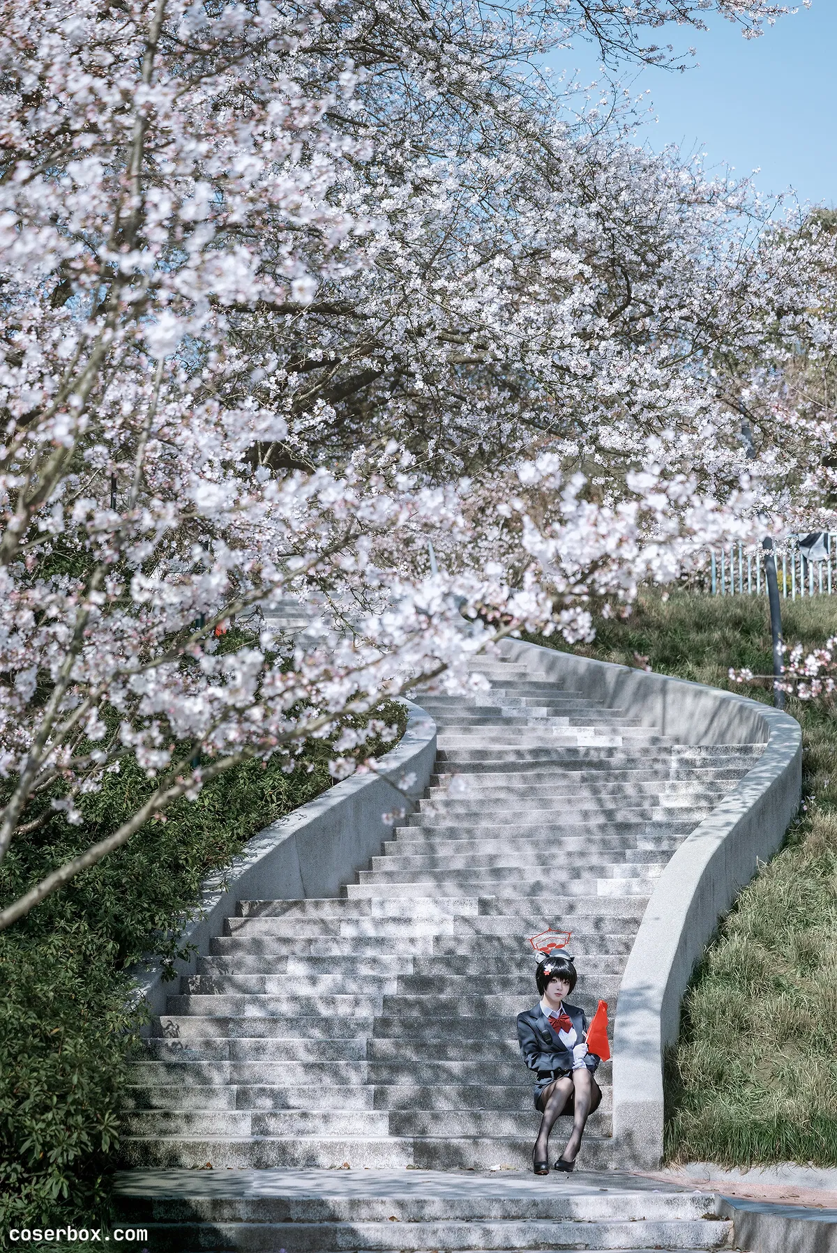 矢量鱼 2025.05.17 椿导游 - 1