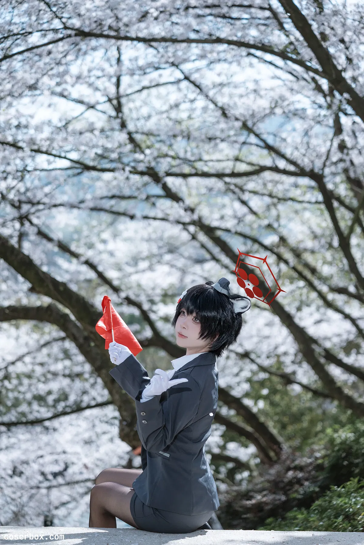 矢量鱼 2025.05.17 椿导游 - 2