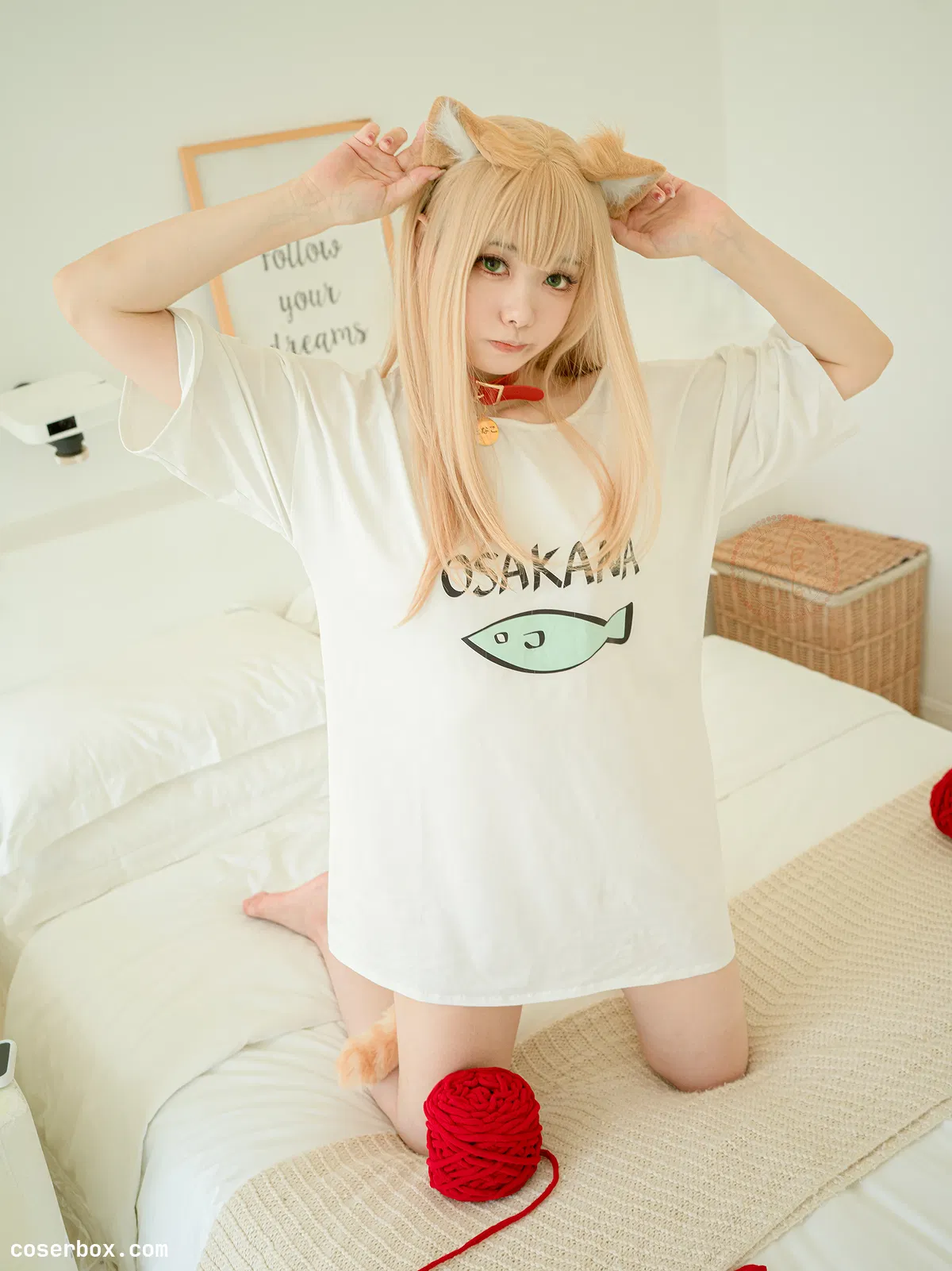 安食Ajiki 2025.05.26 黄豆粉 - 2