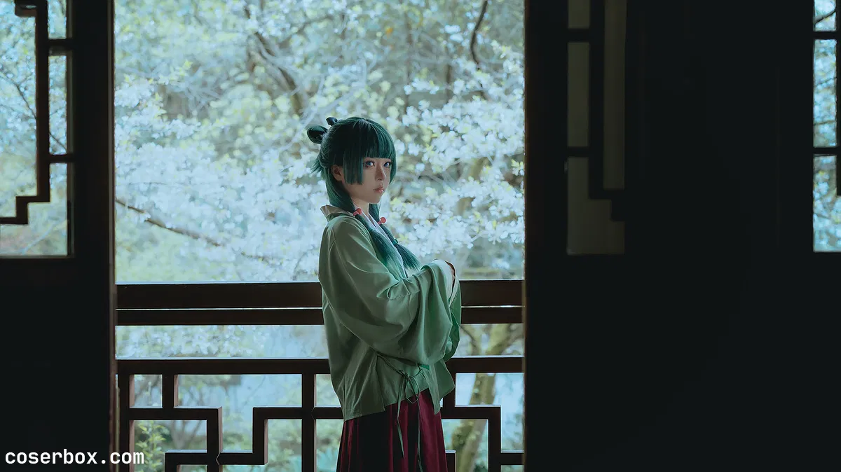 矢量魚 2025.05.23 Maomao - 1