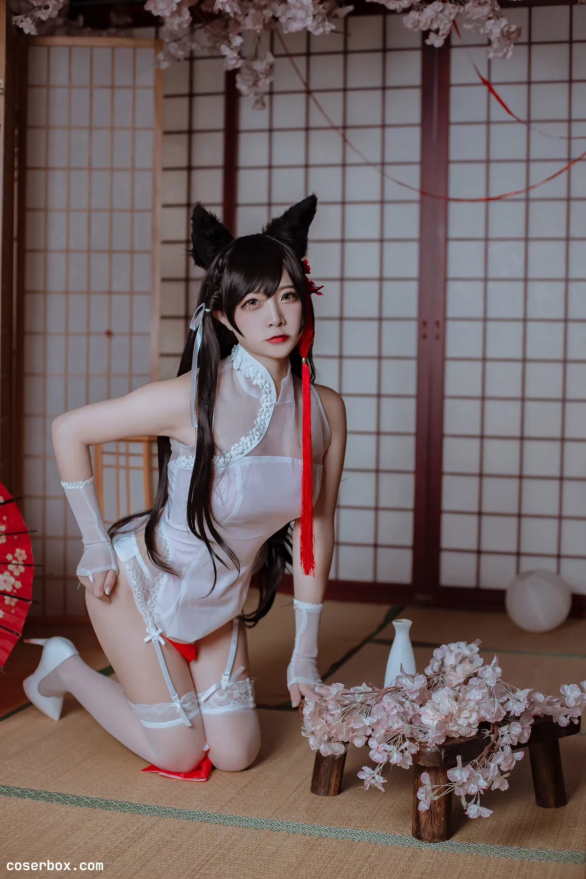 二佐Nisa 2025.05.26 犬之眷 碧蓝航线 爱宕 旗袍 - 2