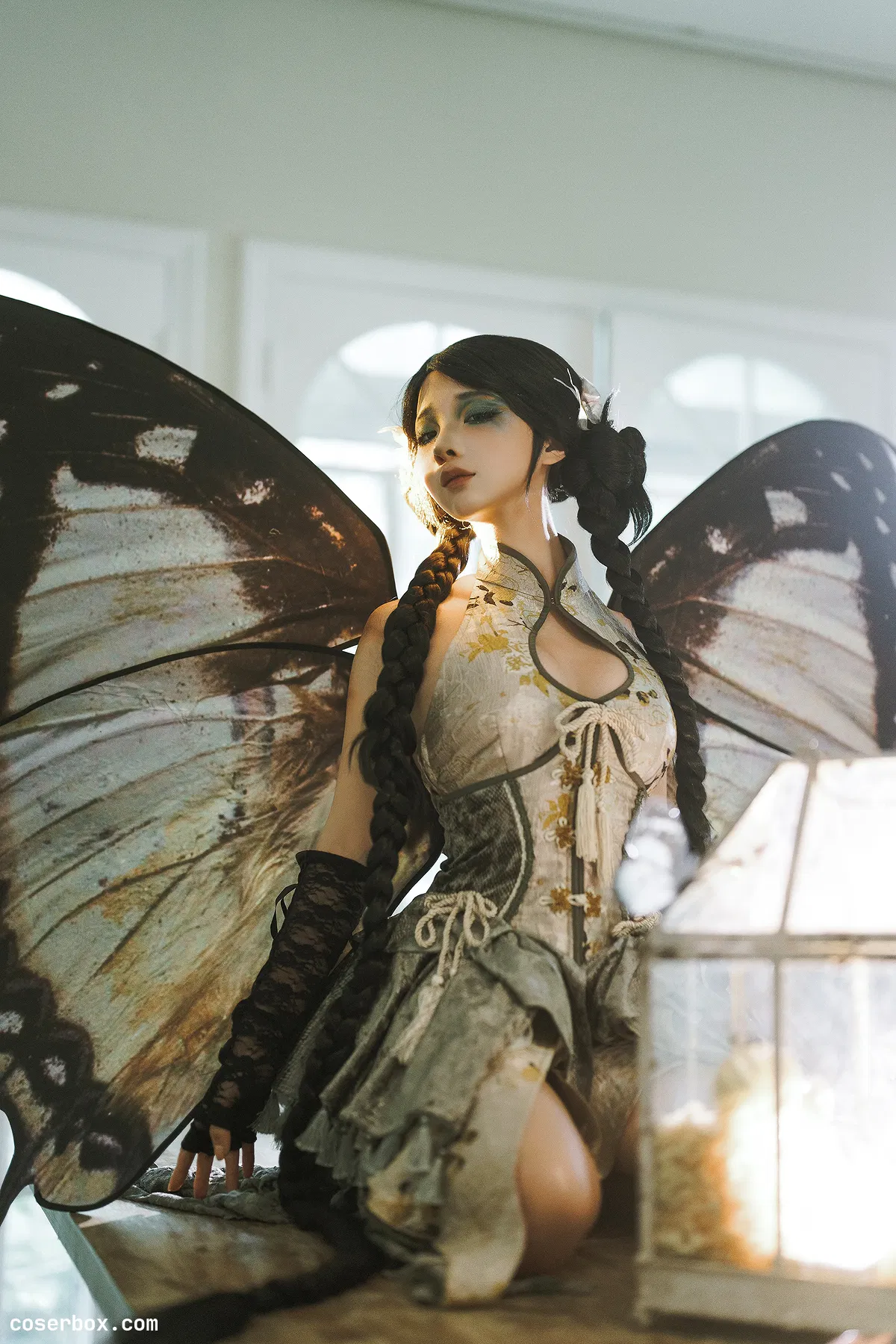 蠢沫沫 2025.06.09 枯叶蝶 - 1