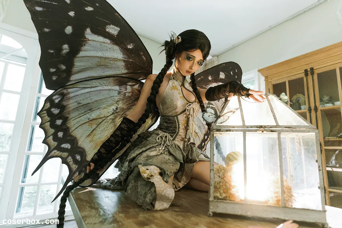 蠢沫沫 2025.06.09 枯叶蝶 - 2