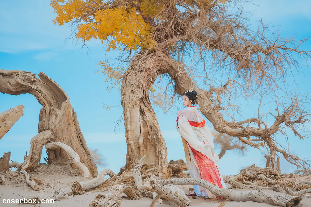 桜桃喵 2025.06.18 惊鸿 - 1