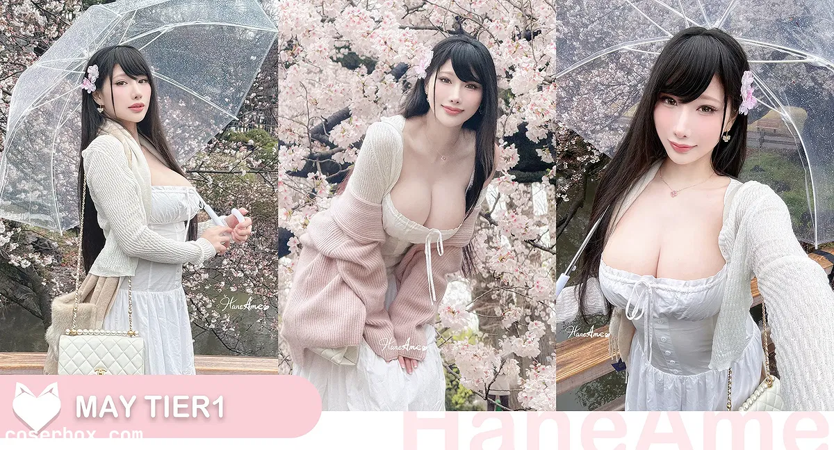 雨波 2025.07.14 25年5月订阅 原创 雨樱下的约定 - 2